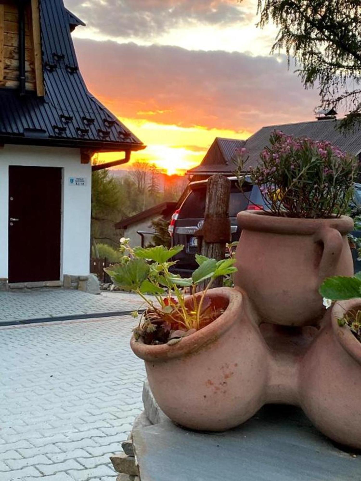 Domki I Apartamenty Na Wyskowkach Jacuzzi & Sauna Zakopane Esterno foto