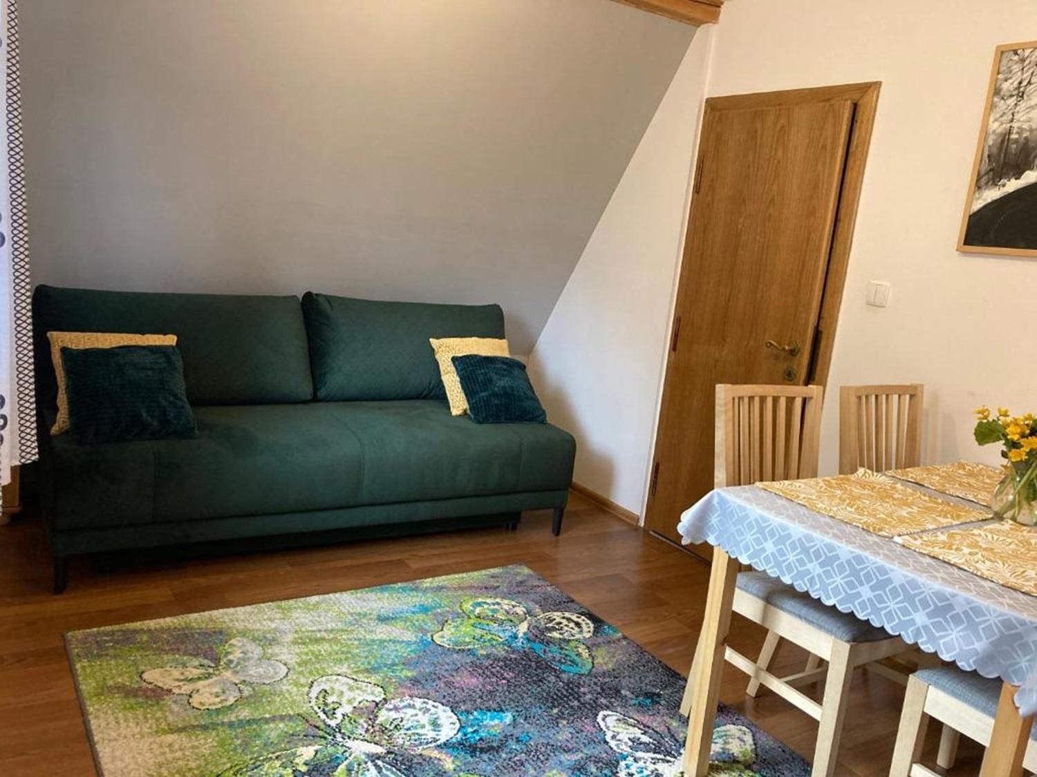 Domki I Apartamenty Na Wyskowkach Jacuzzi & Sauna Zakopane Esterno foto